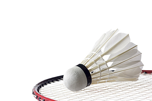 对球迷与商 对球迷与商