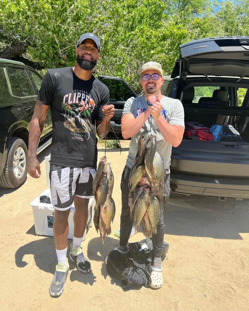 充分展示了 充分展示了